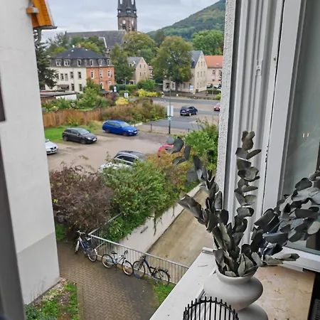 Daire Sunnybelle I *